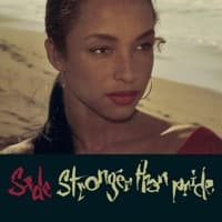 Stronger Than Pride artwork