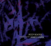 Voices on the Rim album artwork
