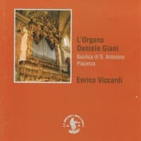 Miguel Manzano Alonso: Cinco Glosas a una Loa para Gran Organo: Registro Bajo, En Ritmo de Amalgama Simple album artwork