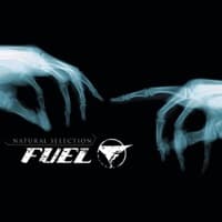 Falls On Me album artwork