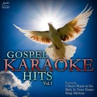 My Hope (In the Style of David Crowder Band) [Karaoke Version] artwork