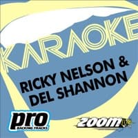 Garden Party (Karaoke Version) album artwork