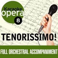 O Sole Mio (no Vocals) [Karaoke Version] album artwork