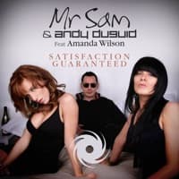 Satisfaction Guaranteed (feat. Amanda Wilson) album artwork