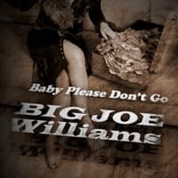 Baby Please Don't Go album artwork