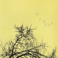 Bizarre Love Triangle album artwork