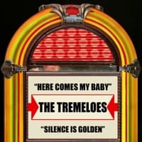 Here Comes My Baby (Re-Recorded) album artwork