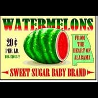 Watermelons album artwork