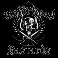 Born to Raise Hell album artwork
