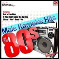 Angel Eyes (In the Style of Jeff Healy Band) [Karaoke Version] album artwork