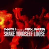 Shake Yourself Loose (Club Mix) album artwork