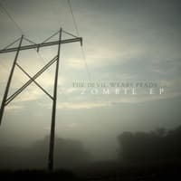 Outnumbered album artwork