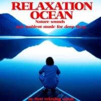 Relaxation Ocean : Nature Sounds and Ambient Music for Deep Sleep artwork