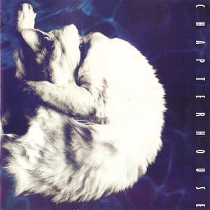 Whirlpool artwork