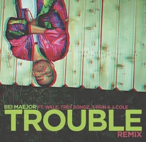Trouble (Remix) [feat. Wale, Trey Songz, T-Pain, J. Cole & DJ Bay Bay] artwork
