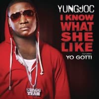I Know What She Like (feat. Yo Gotti) - Single artwork
