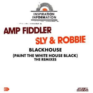 Black House (Paint the White House Black) - EP artwork