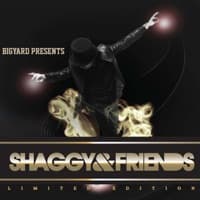 Shaggy & Friends artwork