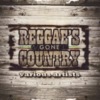 The Gambler album artwork