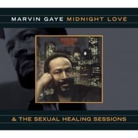 Sexual Healing album artwork