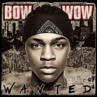 Wanted artwork