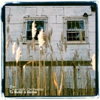 To Build a Home (Edit) [feat. Patrick Watson] album artwork