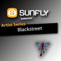 No Diggity (In the style of Blackstreet) [Karaoke Version] - Single artwork