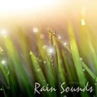 Rain Sounds album artwork