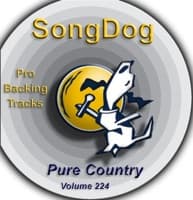Something More (In the Style of Sugarland) [Karaoke Version] album artwork