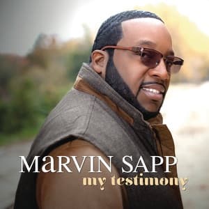 My Testimony artwork