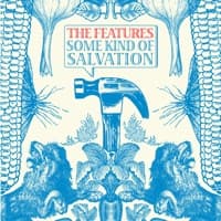 Lions album artwork