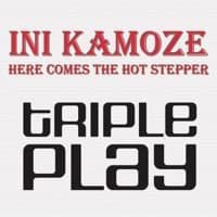 Here Comes the Hotstepper album artwork