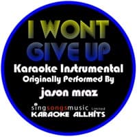 I Won't Give Up (Orignally Performed By Jason Mraz) [Karaoke Instrumental] album artwork
