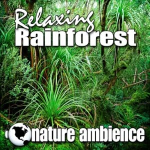 Relaxing Rainforest (Nature Sounds) - Single artwork