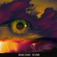 The Storm album artwork
