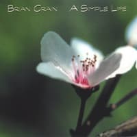 A Simple Life album artwork