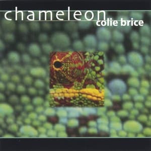 Chameleon artwork